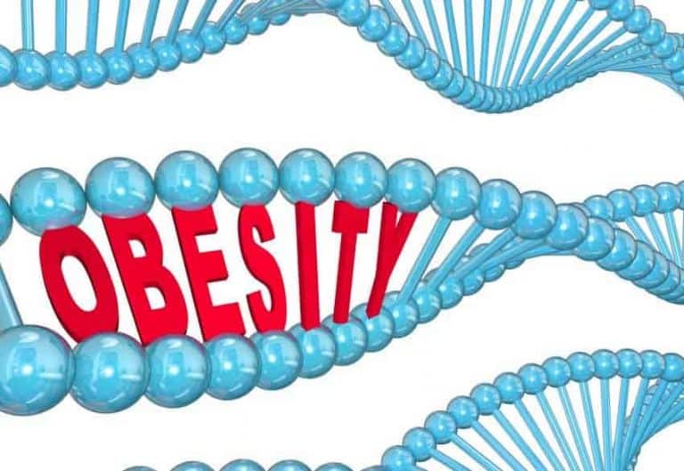 The Role Of Genetics In Obesity