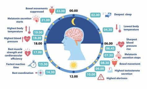 The Science Behind Meal Timing And Weight Loss