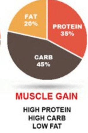 How To Balance Macros For Effective Weight Management