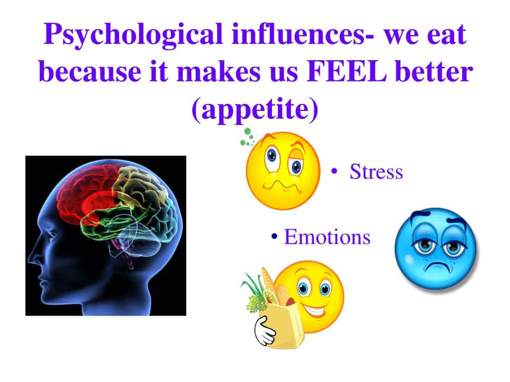 The Science Behind Meal Timing And Weight Loss