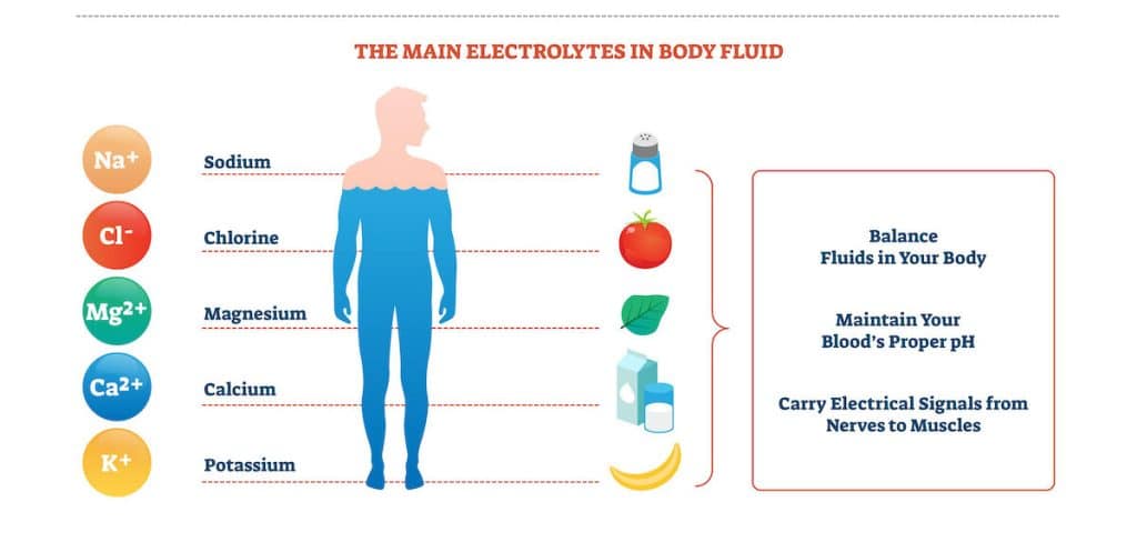The Crucial Role Of Electrolytes In The Body