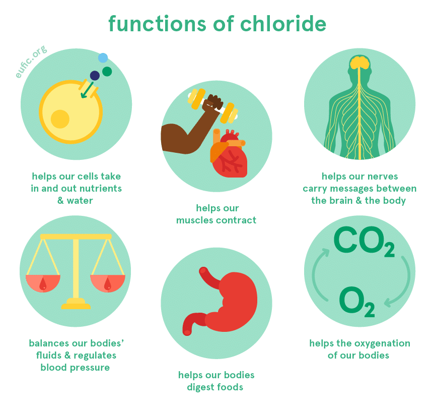 The Crucial Role Of Electrolytes In The Body