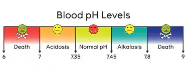 The Crucial Role Of Electrolytes In The Body