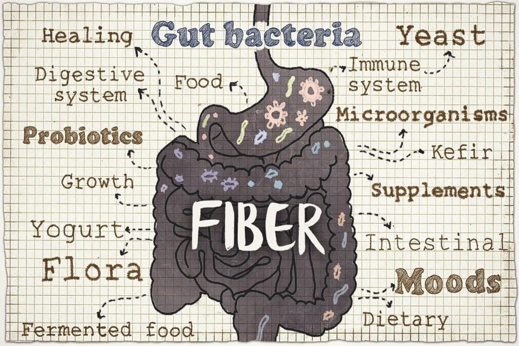 The Role of Fiber in Weight Loss